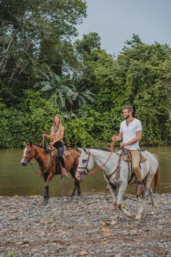Bohemia Experience Villa Playa Santa Teresa  Ngoại thất bức ảnh