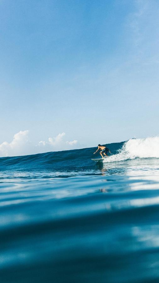 Bohemia Experience Villa Playa Santa Teresa  Ngoại thất bức ảnh