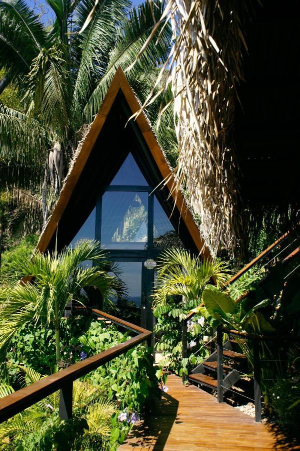 Bohemia Experience Villa Playa Santa Teresa  Ngoại thất bức ảnh