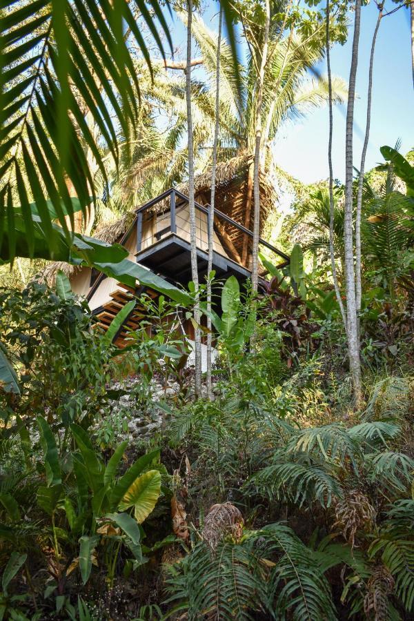 Bohemia Experience Villa Playa Santa Teresa  Ngoại thất bức ảnh
