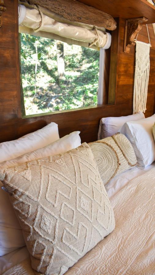 Bohemia Experience Villa Playa Santa Teresa  Ngoại thất bức ảnh