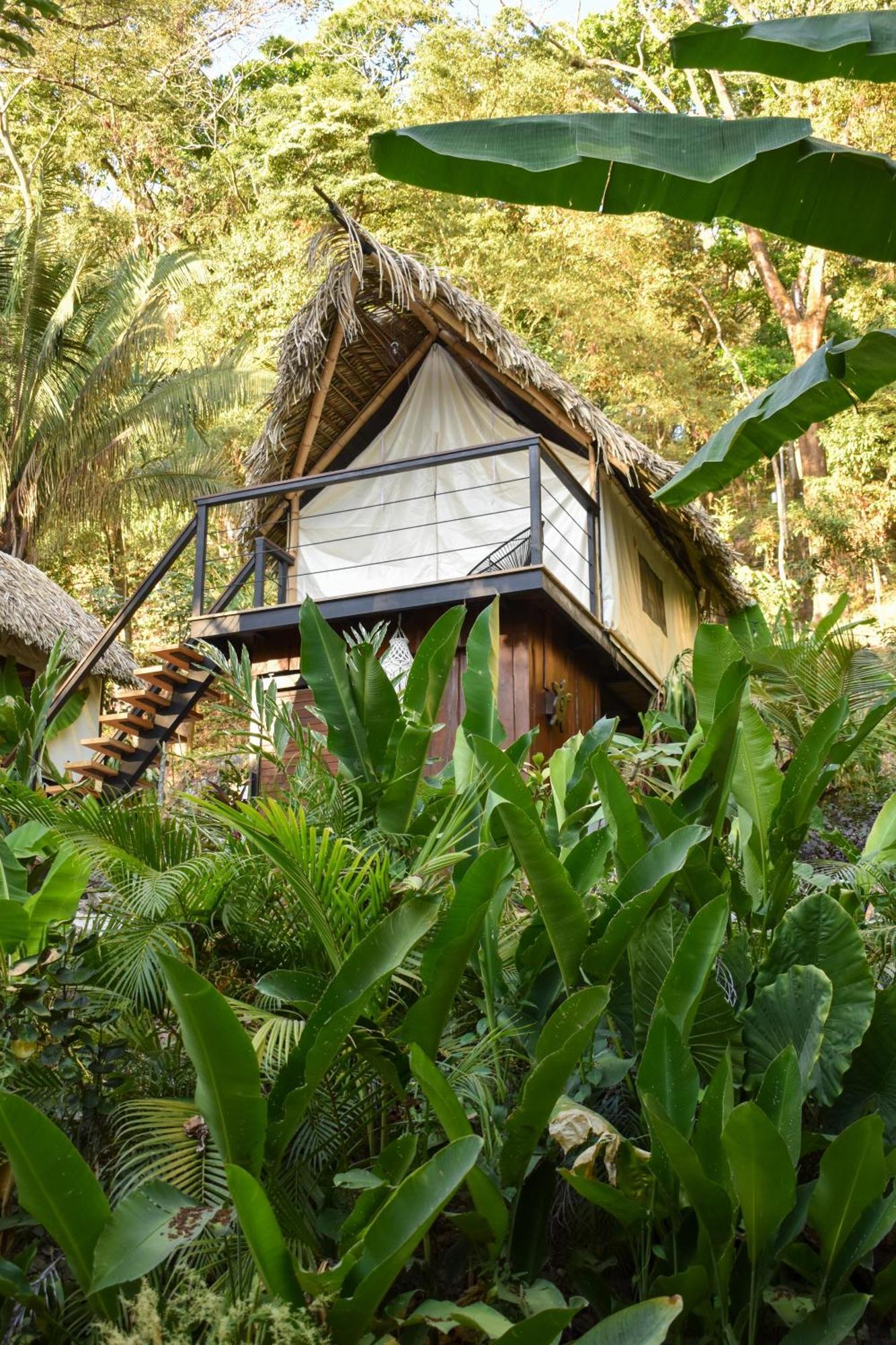 Bohemia Experience Villa Playa Santa Teresa  Ngoại thất bức ảnh